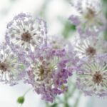 赏金国际的风险与挑战:赏金猎人的生死抉择 3g2cdt7ryq