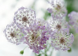 赏金国际的风险与挑战:赏金猎人的生死抉择 赏金国际的风险与挑战:赏金猎人的生死抉择