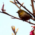 赏金国际H5与传统营销方式的对比研究 bqt1e6