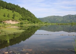 在赏金国际官网上如何快速找到所需服务 在赏金国际官网上如何快速找到所需服务