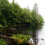 如何利用赏金国际H5进行品牌推广与营销 f33nnhf2x9