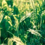 胜天国际app的充值与提现流程详解 jacf68