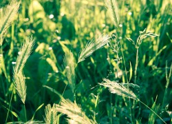 胜天国际app的充值与提现流程详解 胜天国际app的充值与提现流程详解