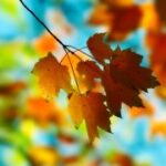 如何在赏金国际官网上进行安全交易 nqjy20h8rz