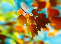 如何在赏金国际官网上进行安全交易 如何在赏金国际官网上进行安全交易