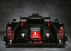 胜天国际app下载后,如何设置个人偏好与通知 胜天国际app下载后,如何设置个人偏好与通知