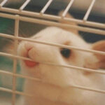 探索赏金国际app的功能与优势,提升你的赚钱效率 trru9jzw