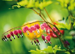 赏金国际H5的内容创作与传播策略 赏金国际H5的内容创作与传播策略