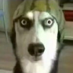 如何在赏金国际娱乐中保持冷静与理智的心态 uczmh90648