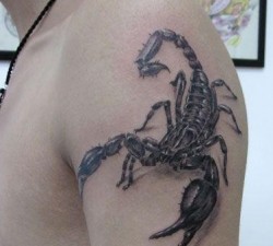 赏金国际的职业培训:如何成为一名合格的赏金猎人 赏金国际的职业培训:如何成为一名合格的赏金猎人