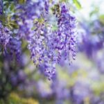 赏金国际pg的奖金结构与提现流程解析 ys8ezk